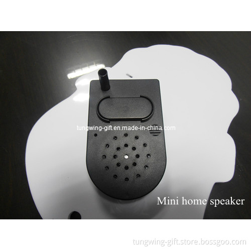 Motion Sensor Talking Box